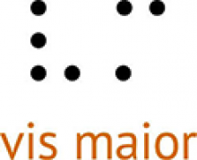 Logo Fundacja Vis Maior